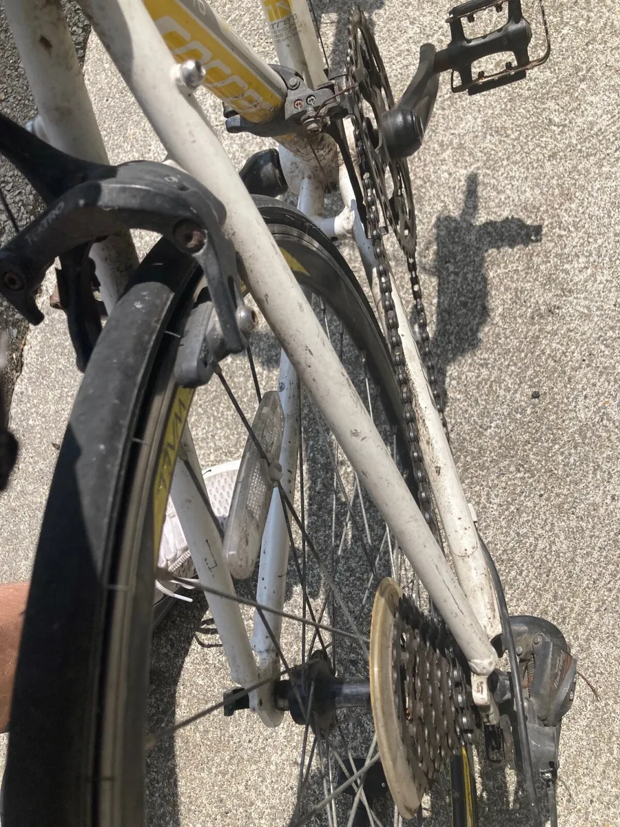 Bicycle - Image 2