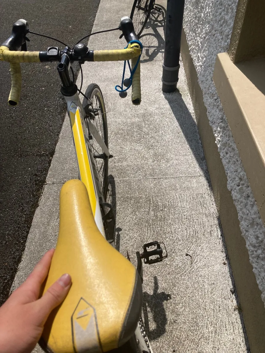 Bicycle - Image 3