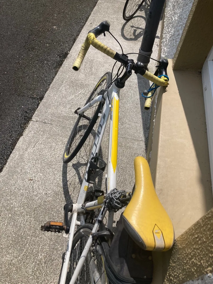 Bicycle - Image 4