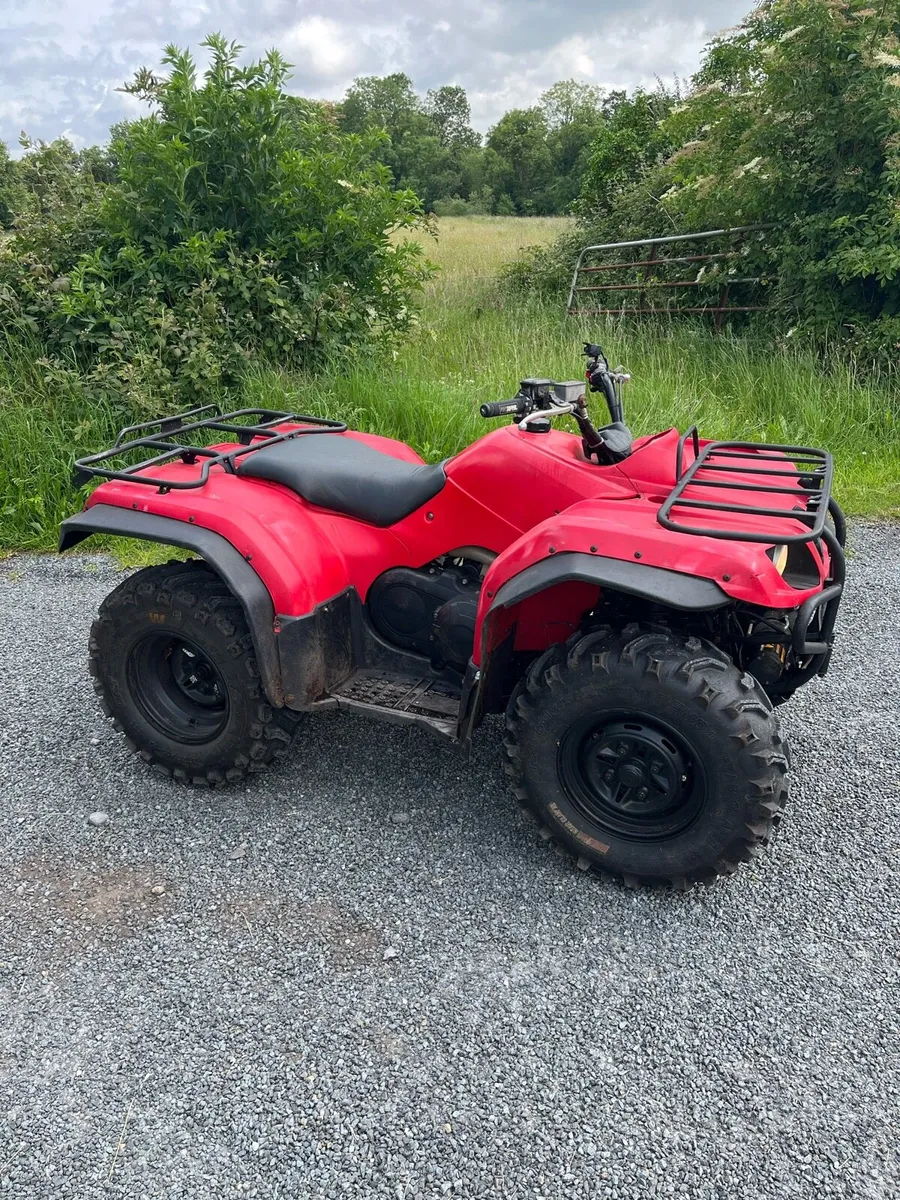 Yamaha grizzly 350 - Image 1