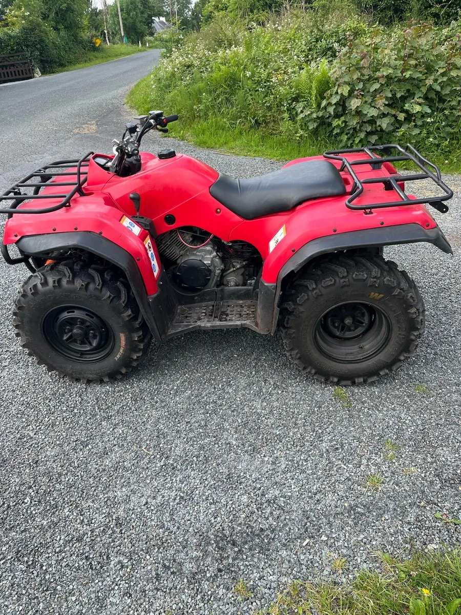Yamaha grizzly 350 - Image 2