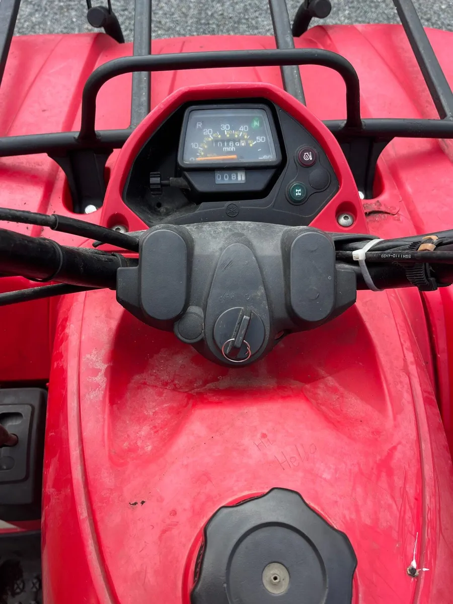 Yamaha grizzly 350 - Image 3