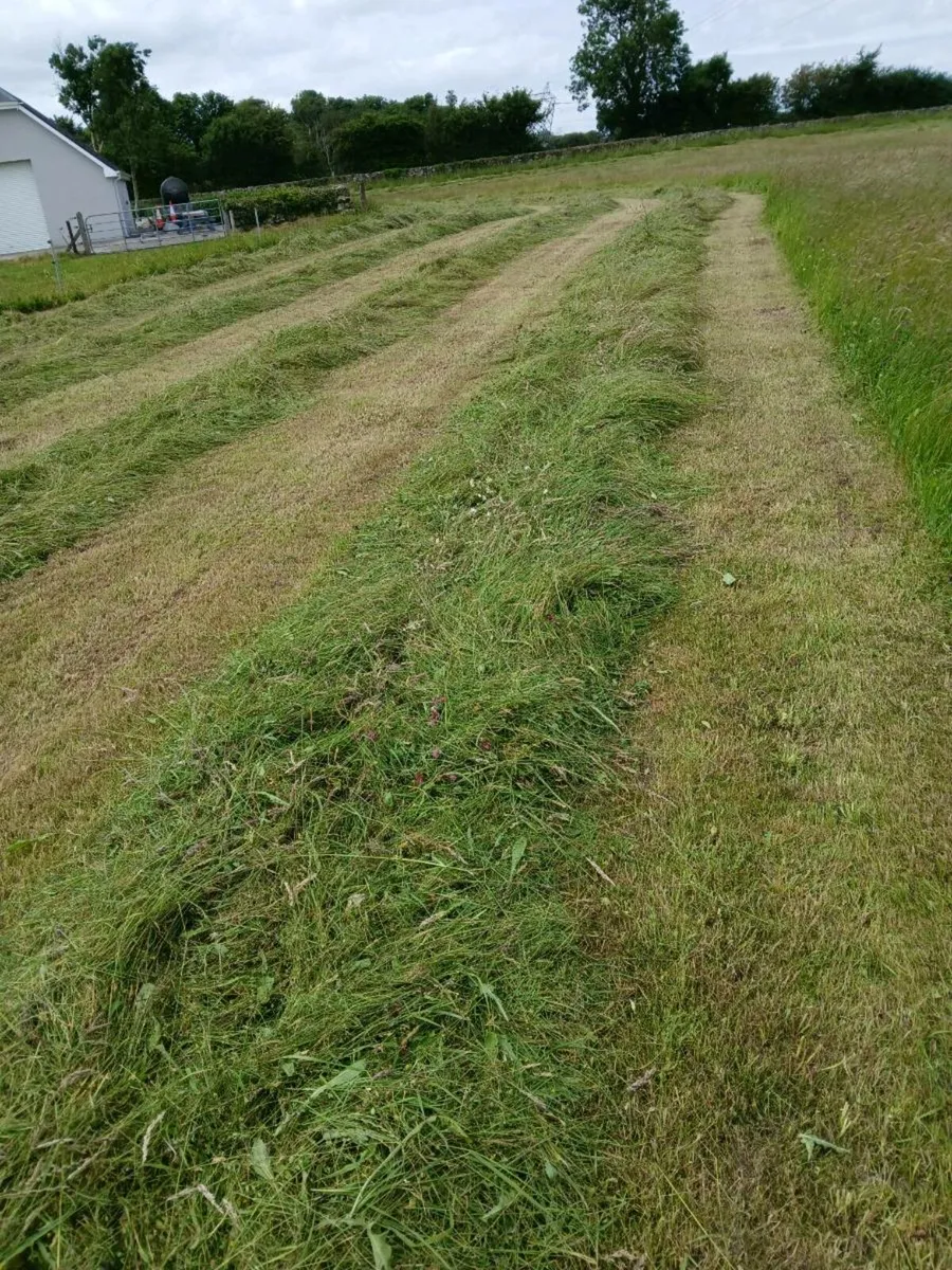 2025 silage bales - Image 1