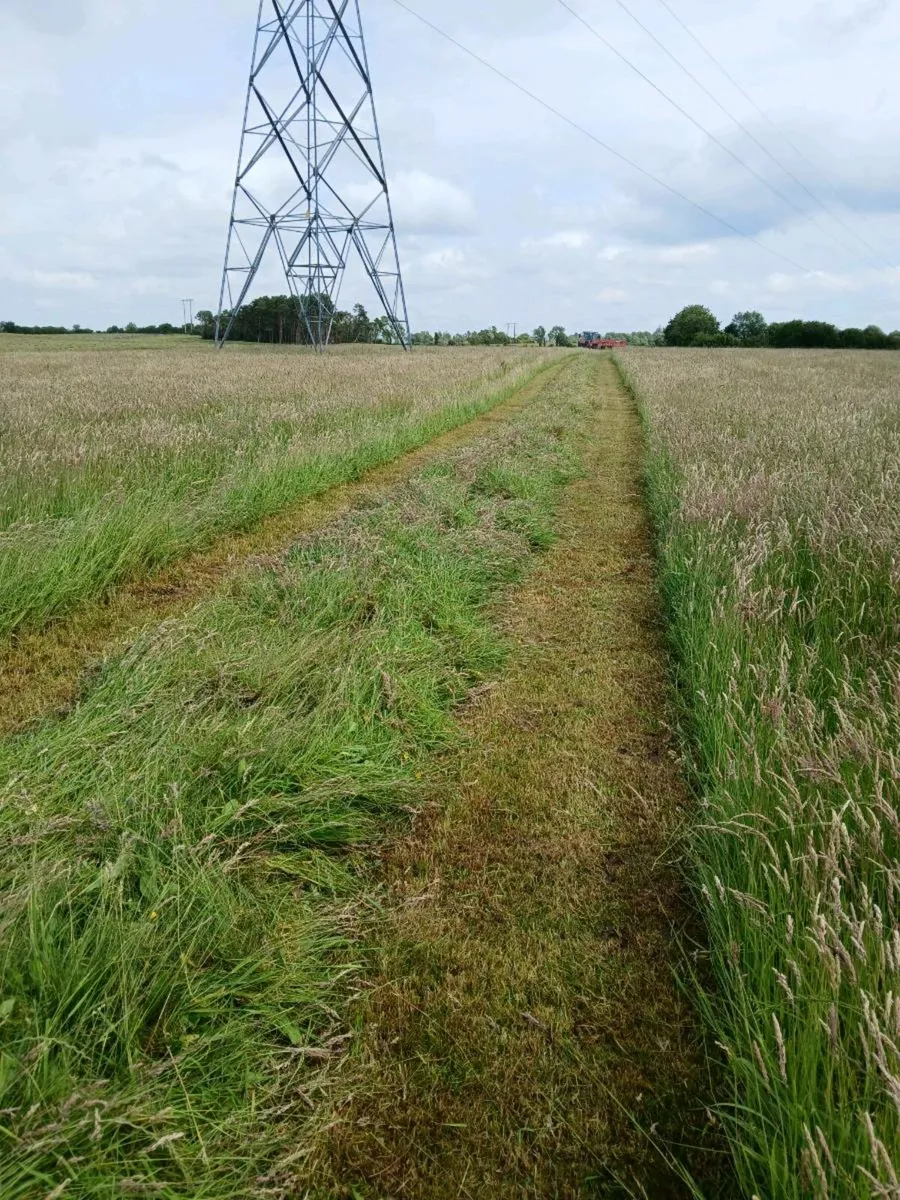 2025 silage bales - Image 2