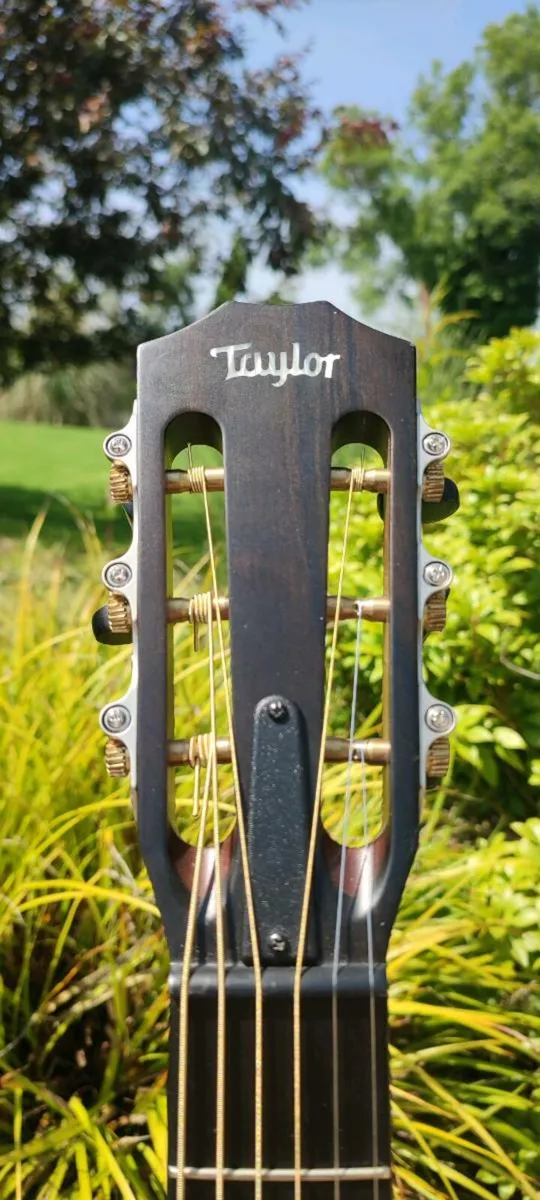 Taylor 322ce - Image 3
