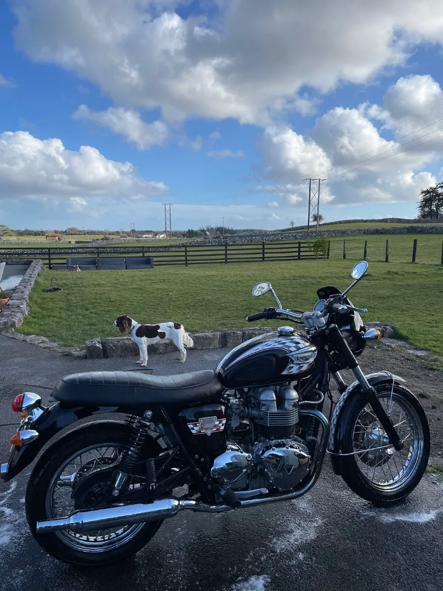 Triumph Bonneville T100 Special