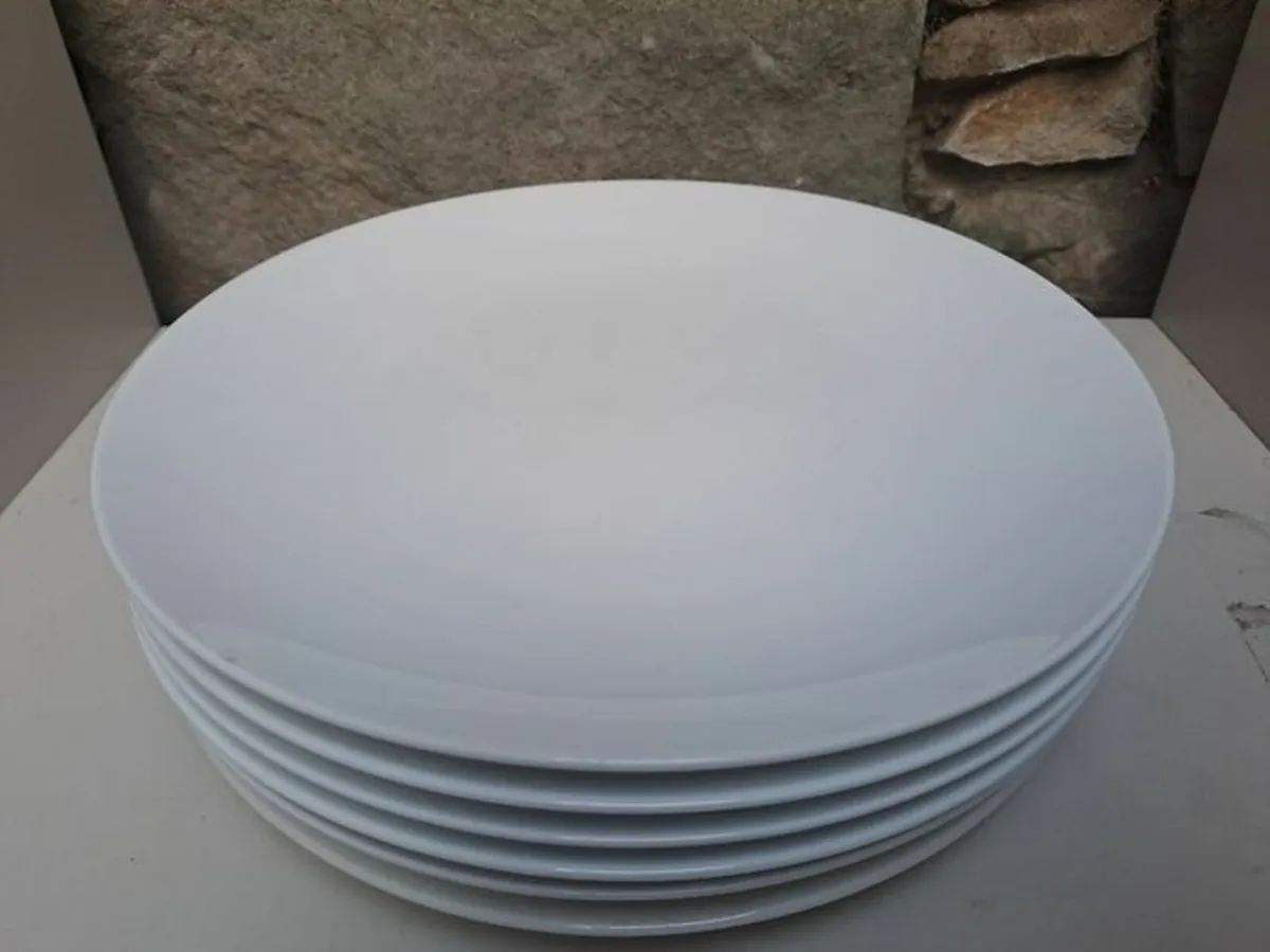 6 Abney and craft Dinner plates - Image 3