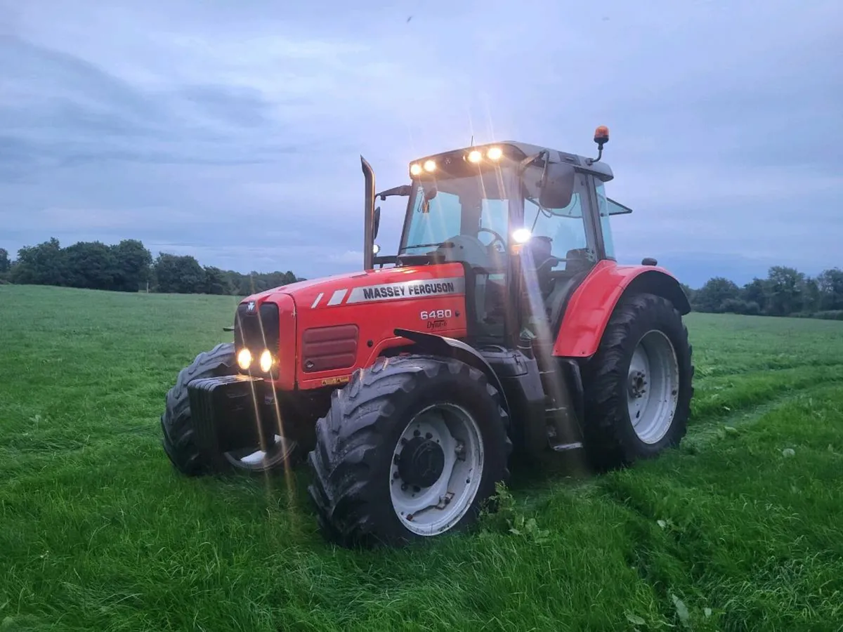 Massey ferguson - Image 4