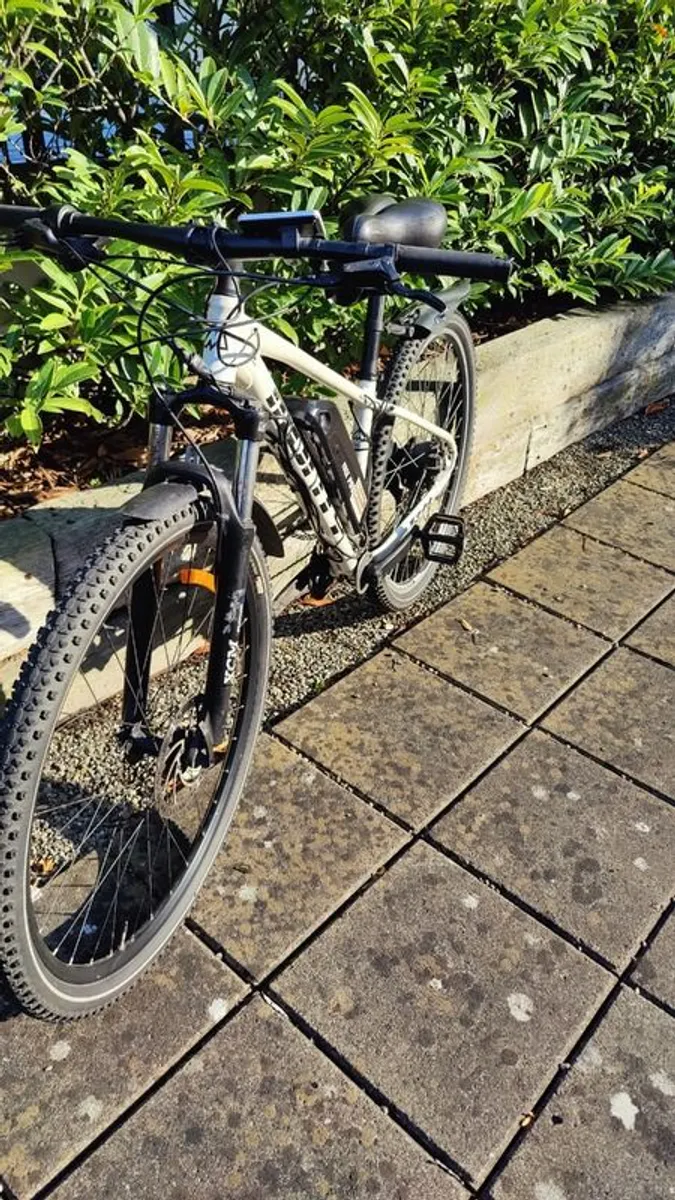 E bike - Image 2