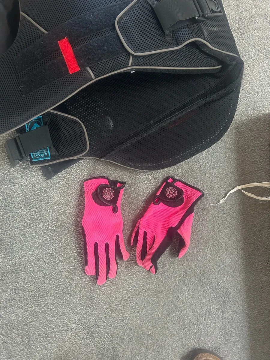 Horse riding equipment - Image 1