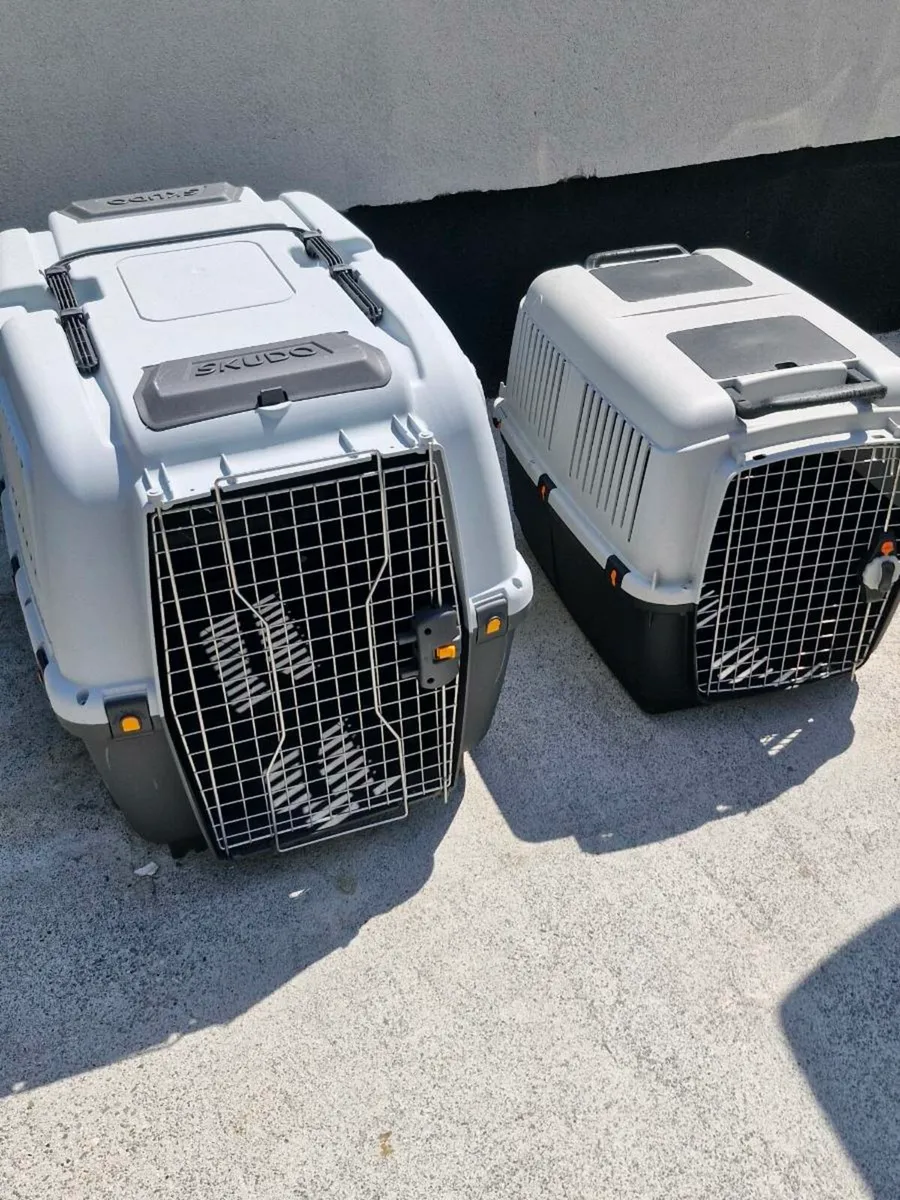 Cages - Image 1