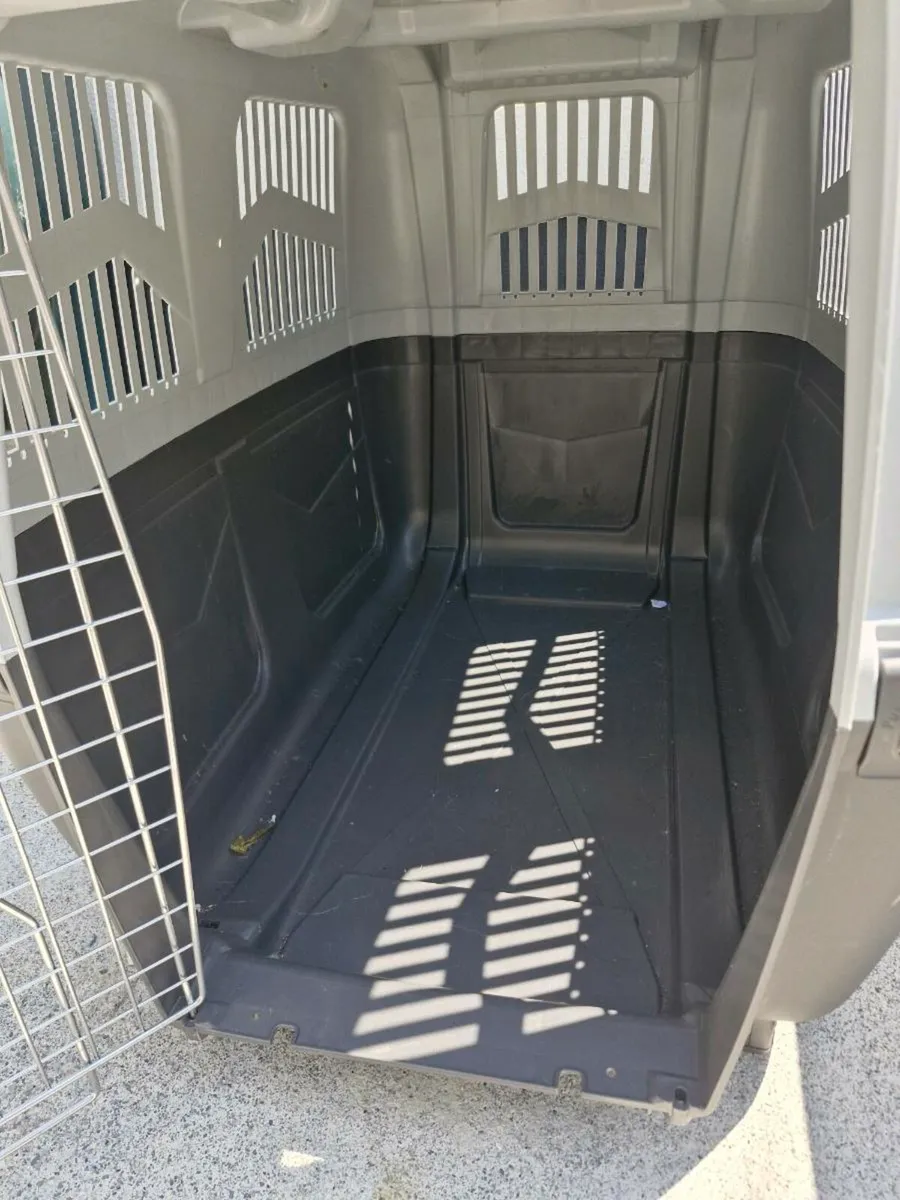 Cages - Image 4