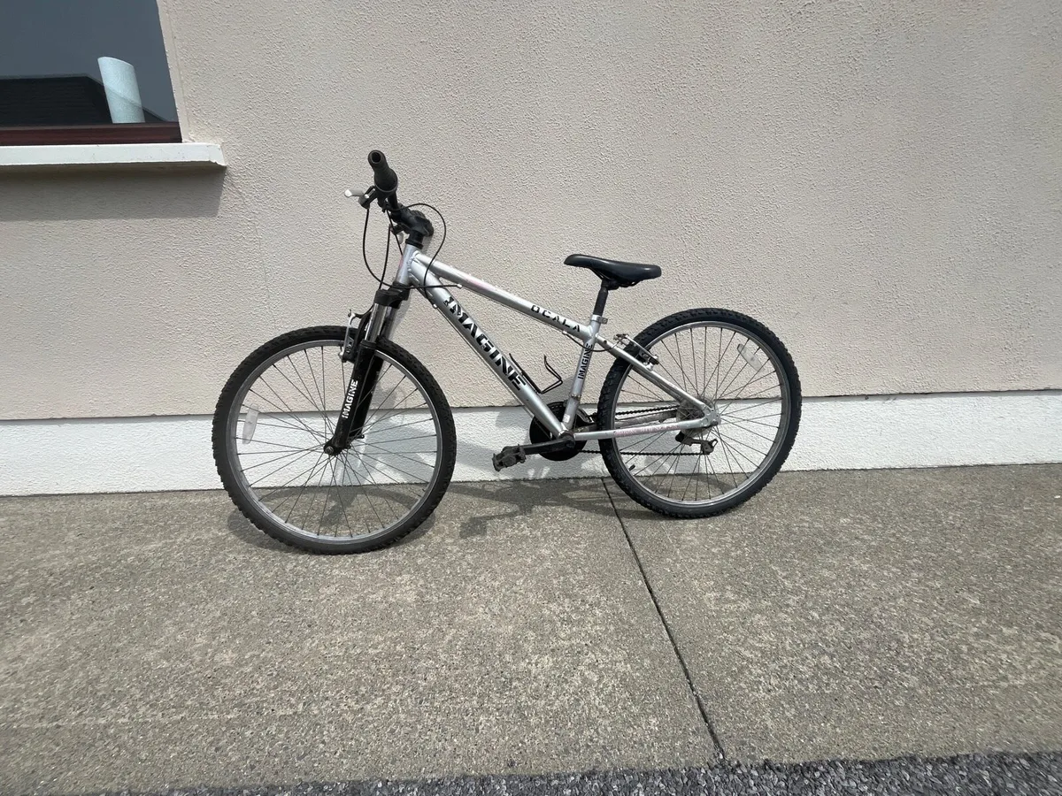 Imagine Mountain Bike – Good Condition