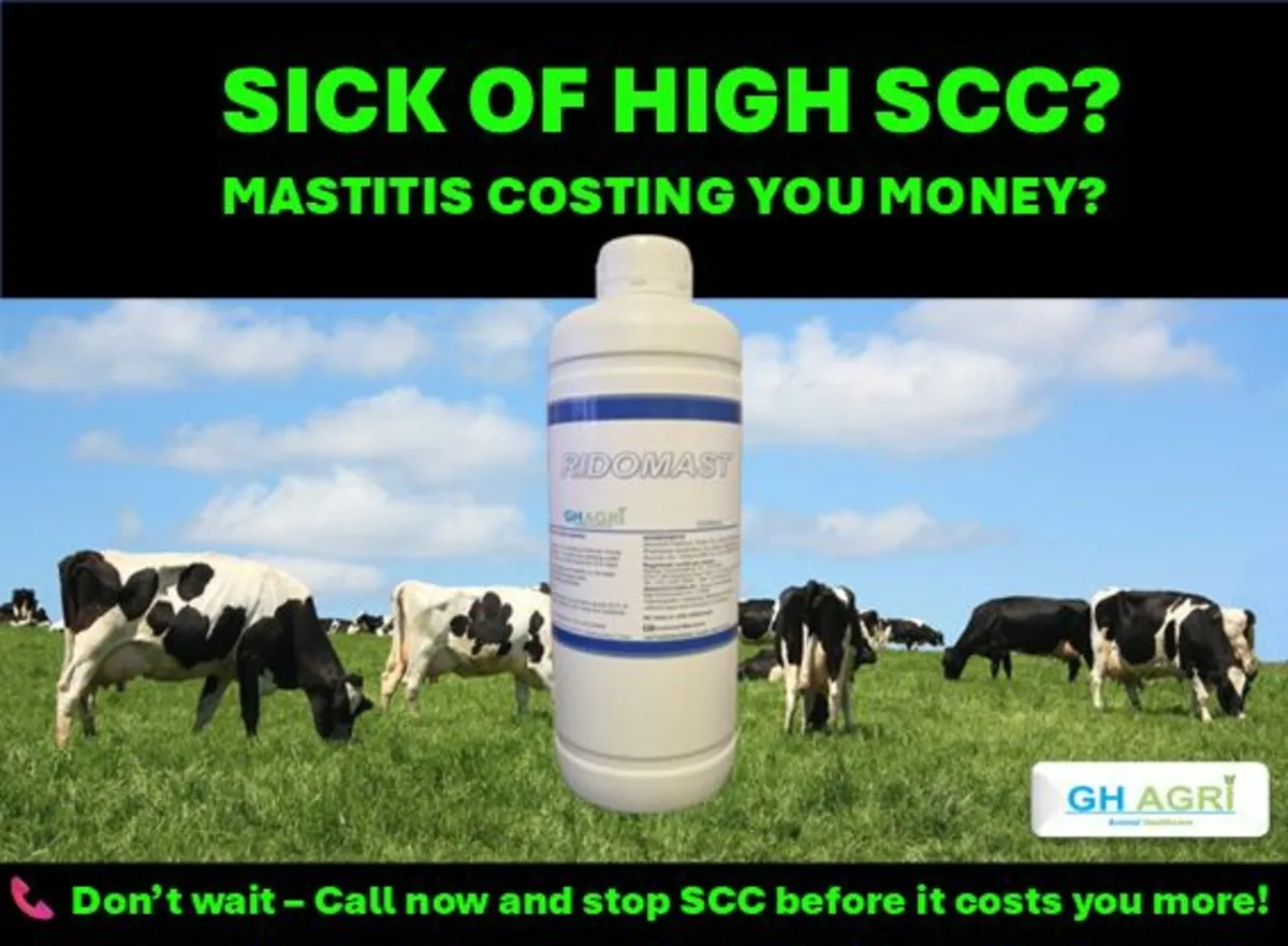 Call Steven Mastitis Scc program Roscommon Area - Image 1