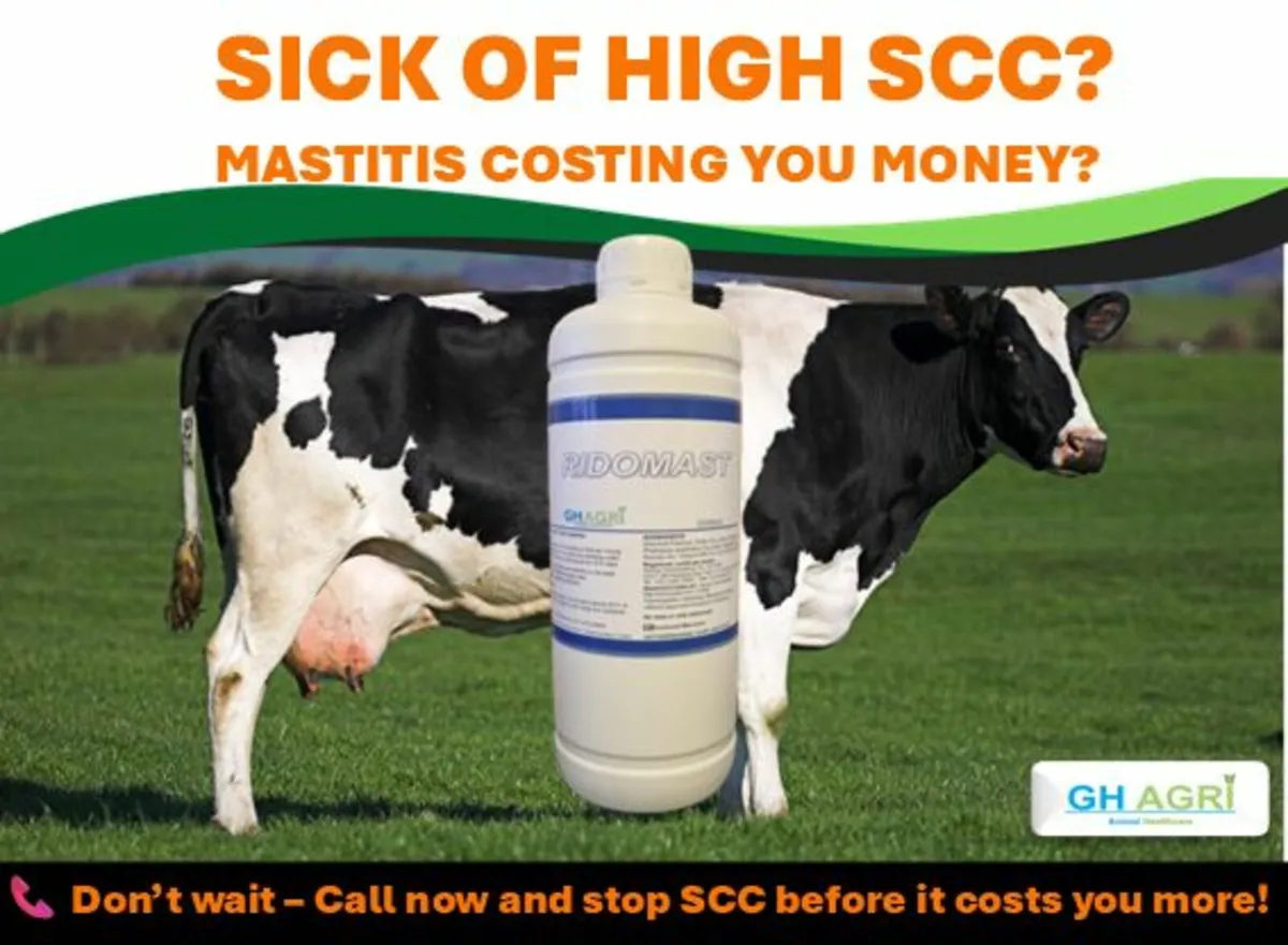 Call Karey Mayo area for Mastitis Scc Program - Image 1
