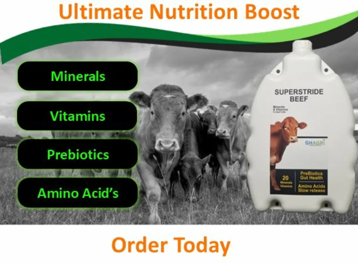 New Product Alert !!!! - Image 1
