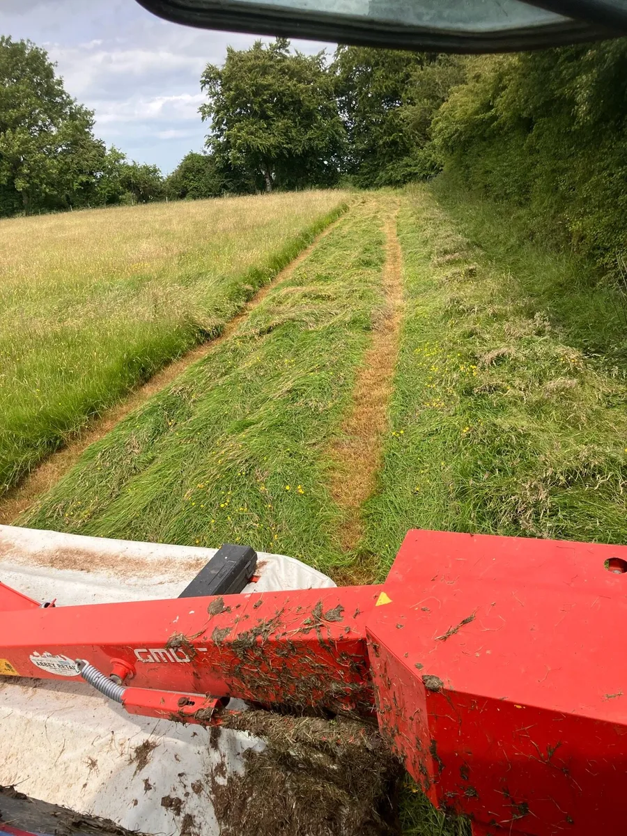 Hay