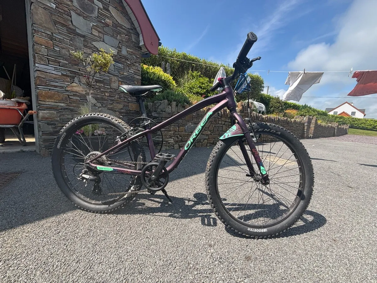 Orbea bike