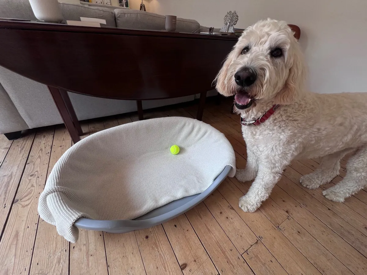 Dog bed 80cm. For Large dog. - Image 3