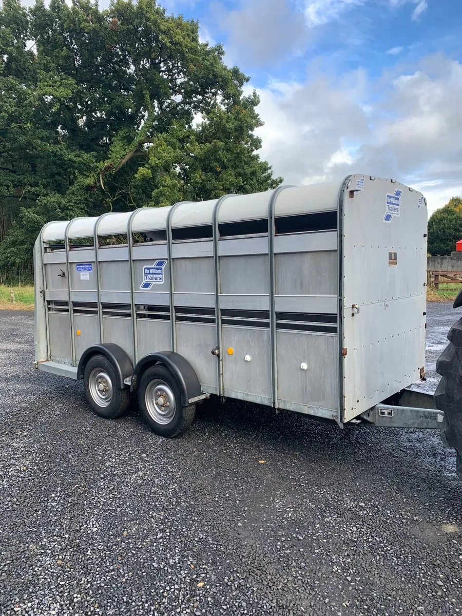 14ft ifor williams trailer - Image 1