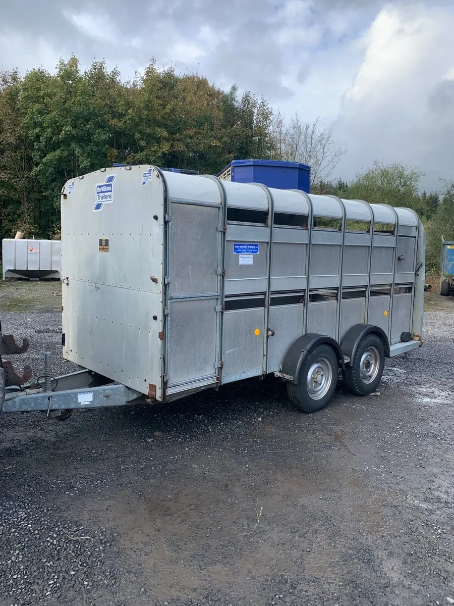 14ft ifor williams trailer - Image 2