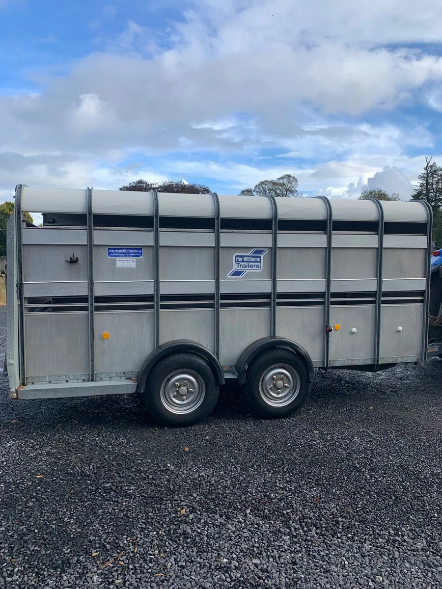 14ft ifor williams trailer - Image 3
