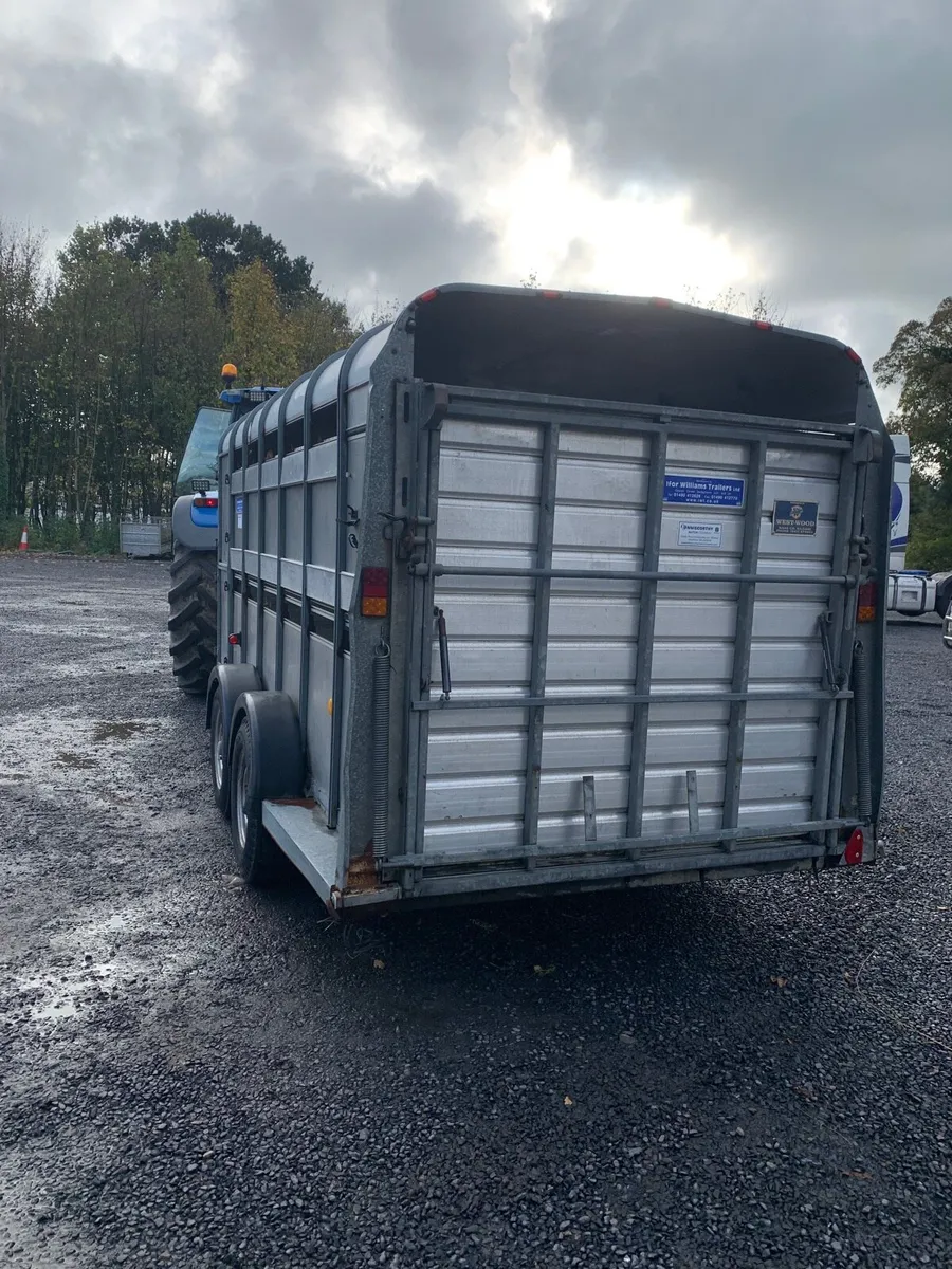 14ft ifor williams trailer - Image 4