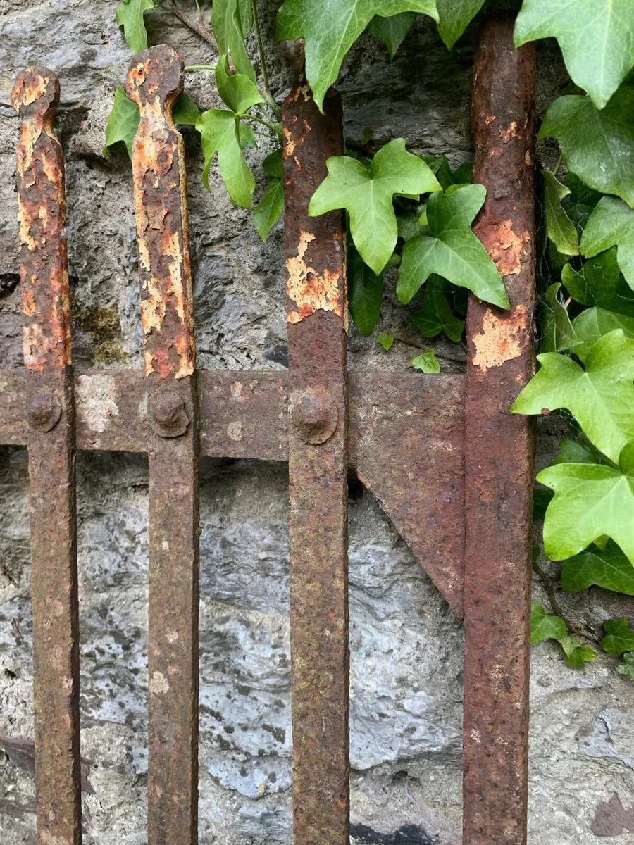 gate - Image 2