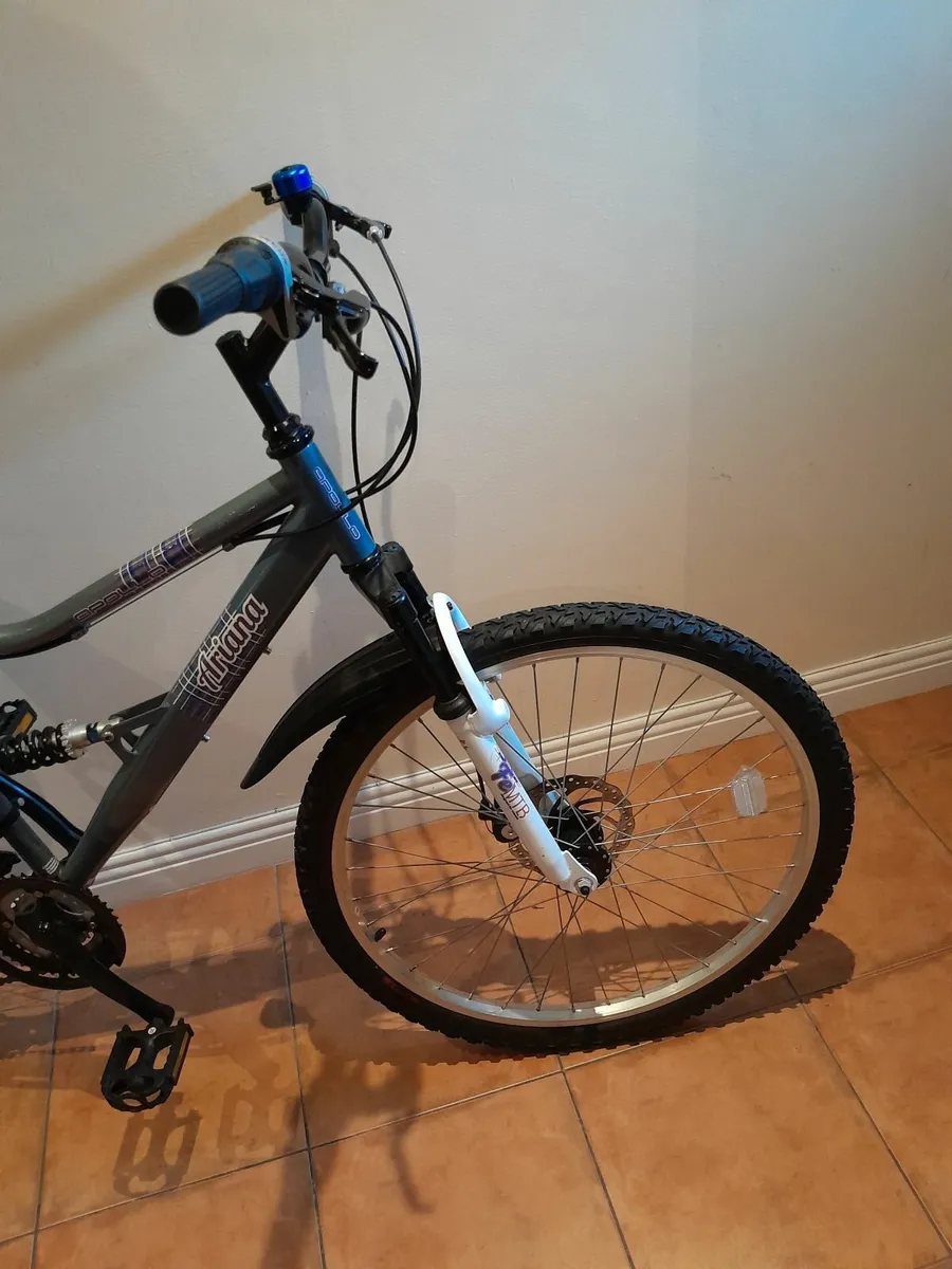 Bicycle - Image 3