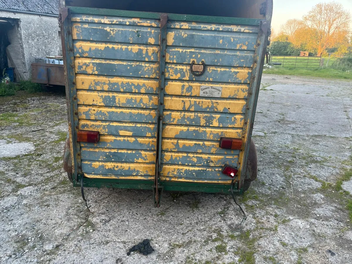 Rice manufactured trailer horsebox style - Image 3