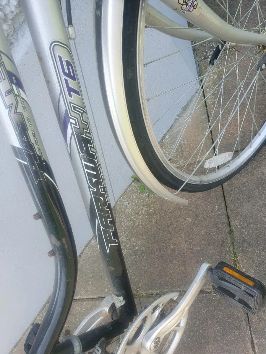 Ladies bicycle - Image 2