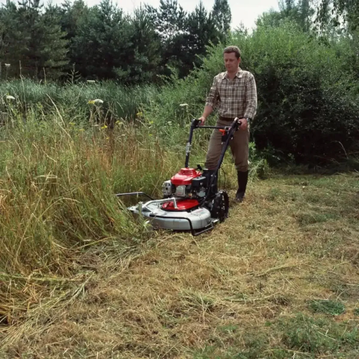 New Honda Long Grass Cutter - Image 2