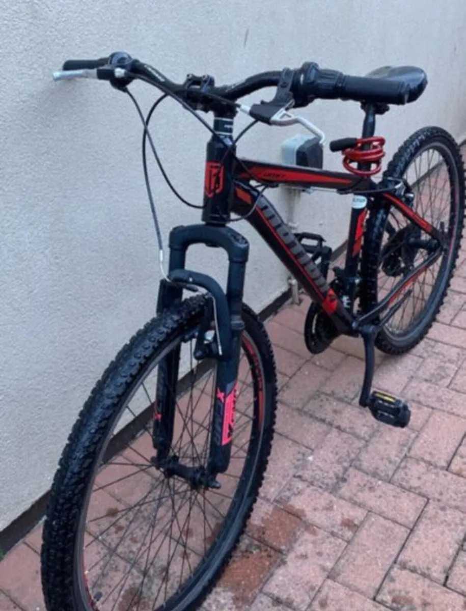 Mountain bike - Image 1