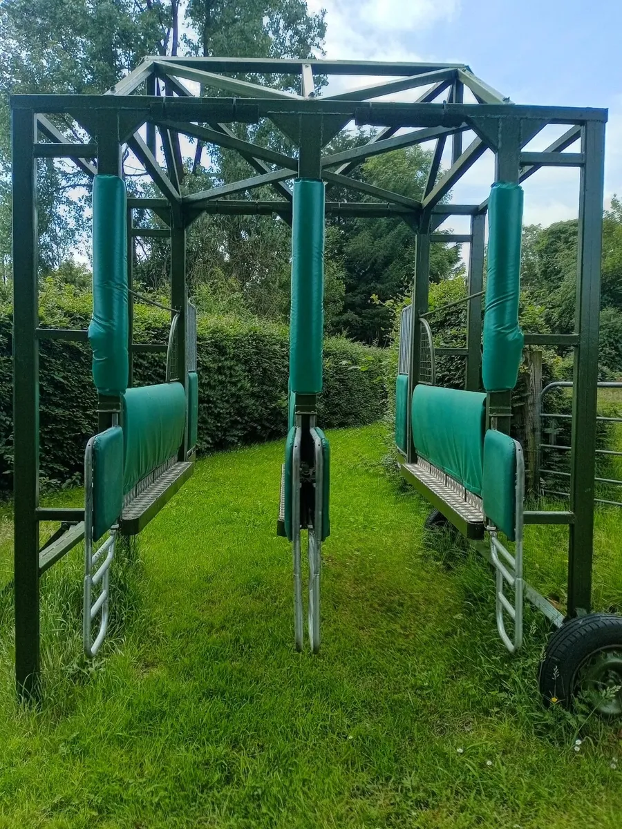 Racehorse Starting Stalls - Image 1