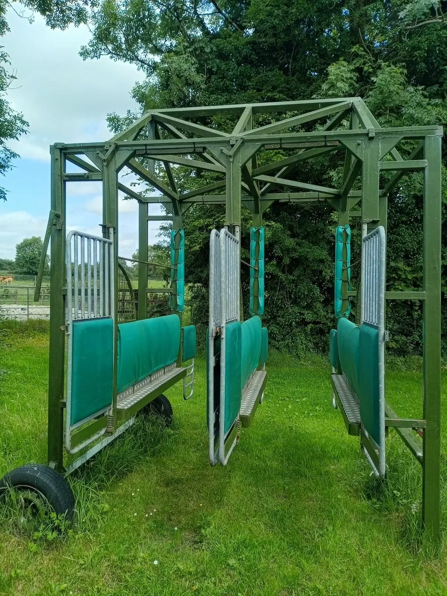 Racehorse Starting Stalls - Image 2
