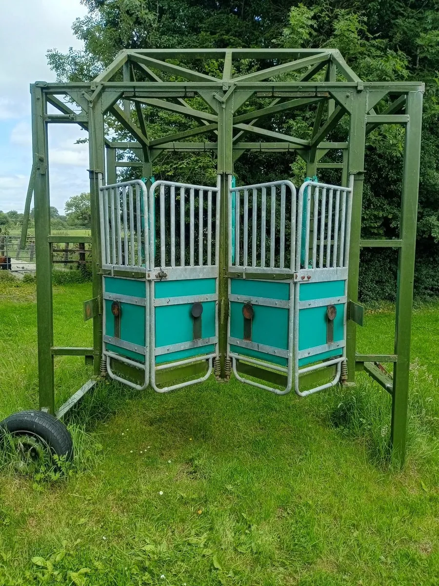 Racehorse Starting Stalls - Image 3