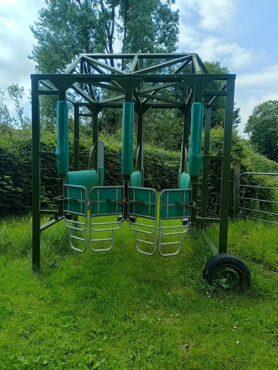 Racehorse Starting Stalls - Image 4