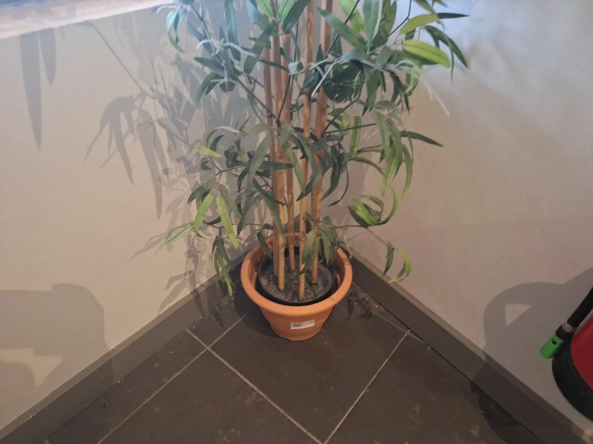 Online Auction Of An Artificial Plant & More! - Image 1