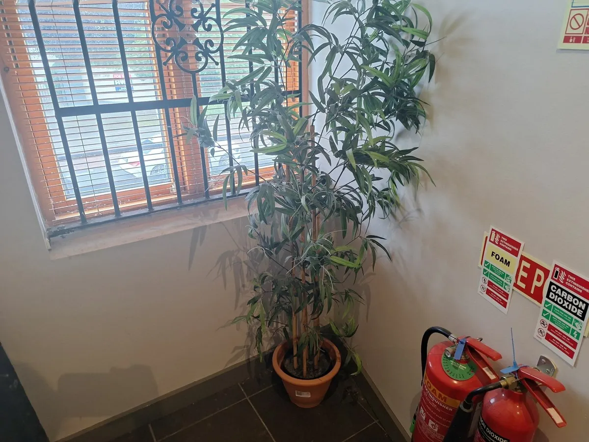 Online Auction Of An Artificial Plant & More! - Image 2