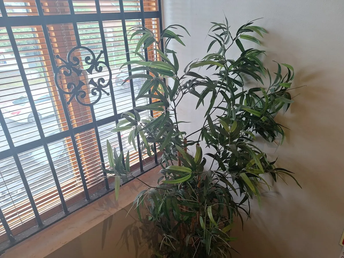 Online Auction Of An Artificial Plant & More! - Image 3