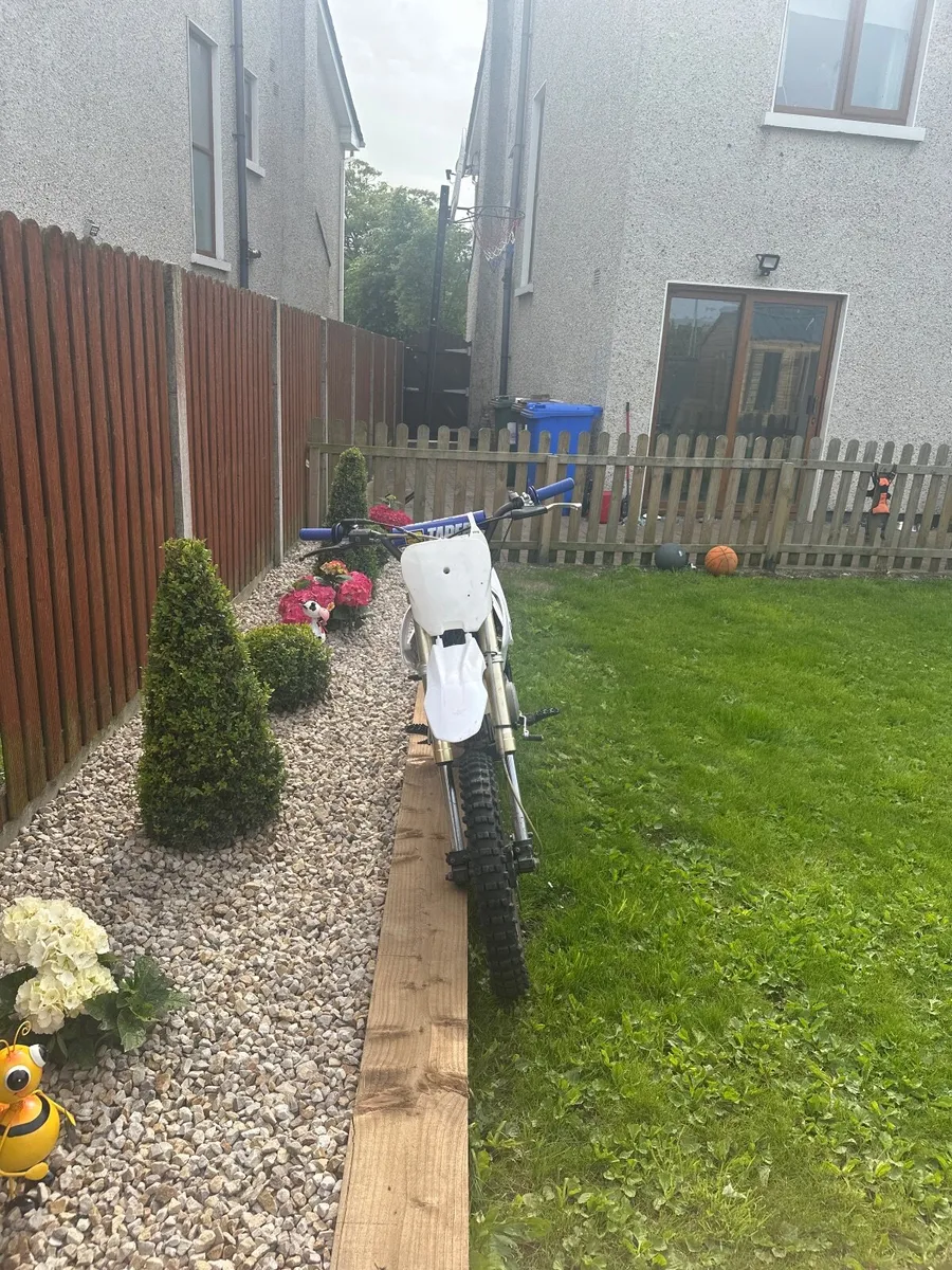 Dirtbike For Sale - Image 3