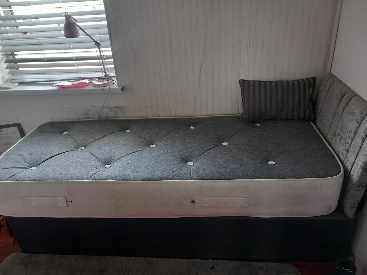 Single  bed with mattress - Image 2