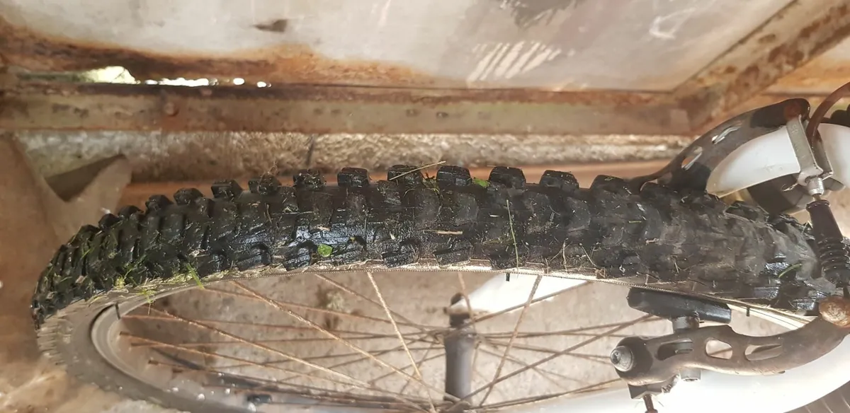 Bicycle - Image 3