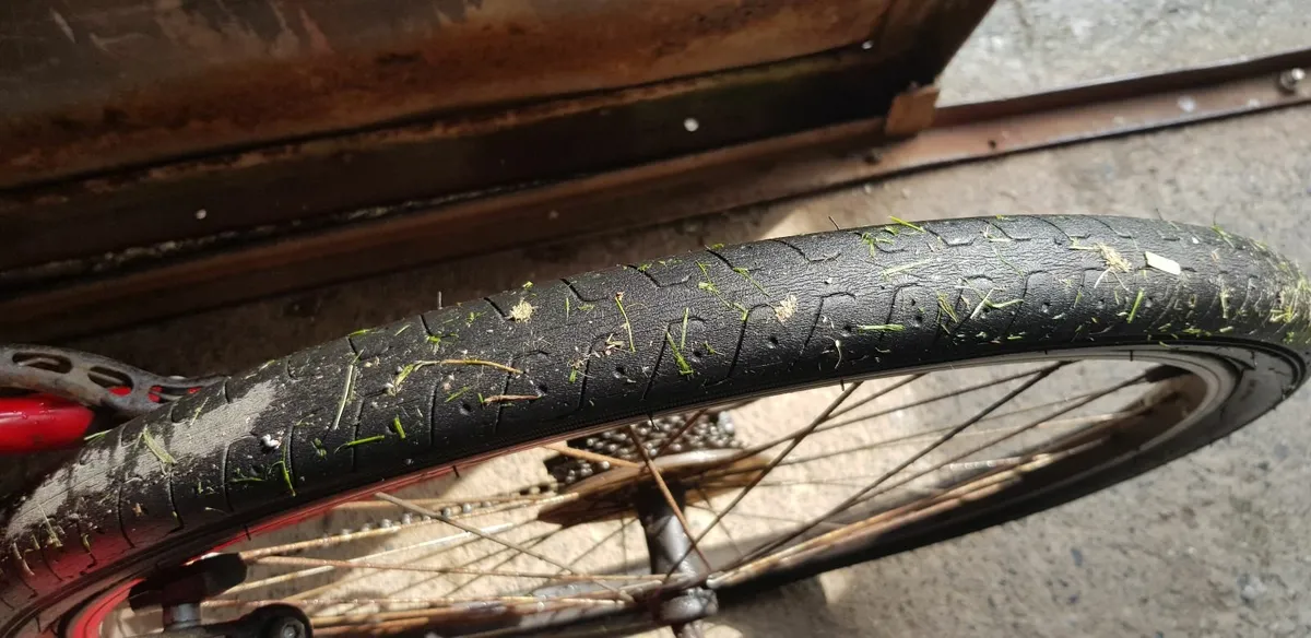 Bicycle - Image 4