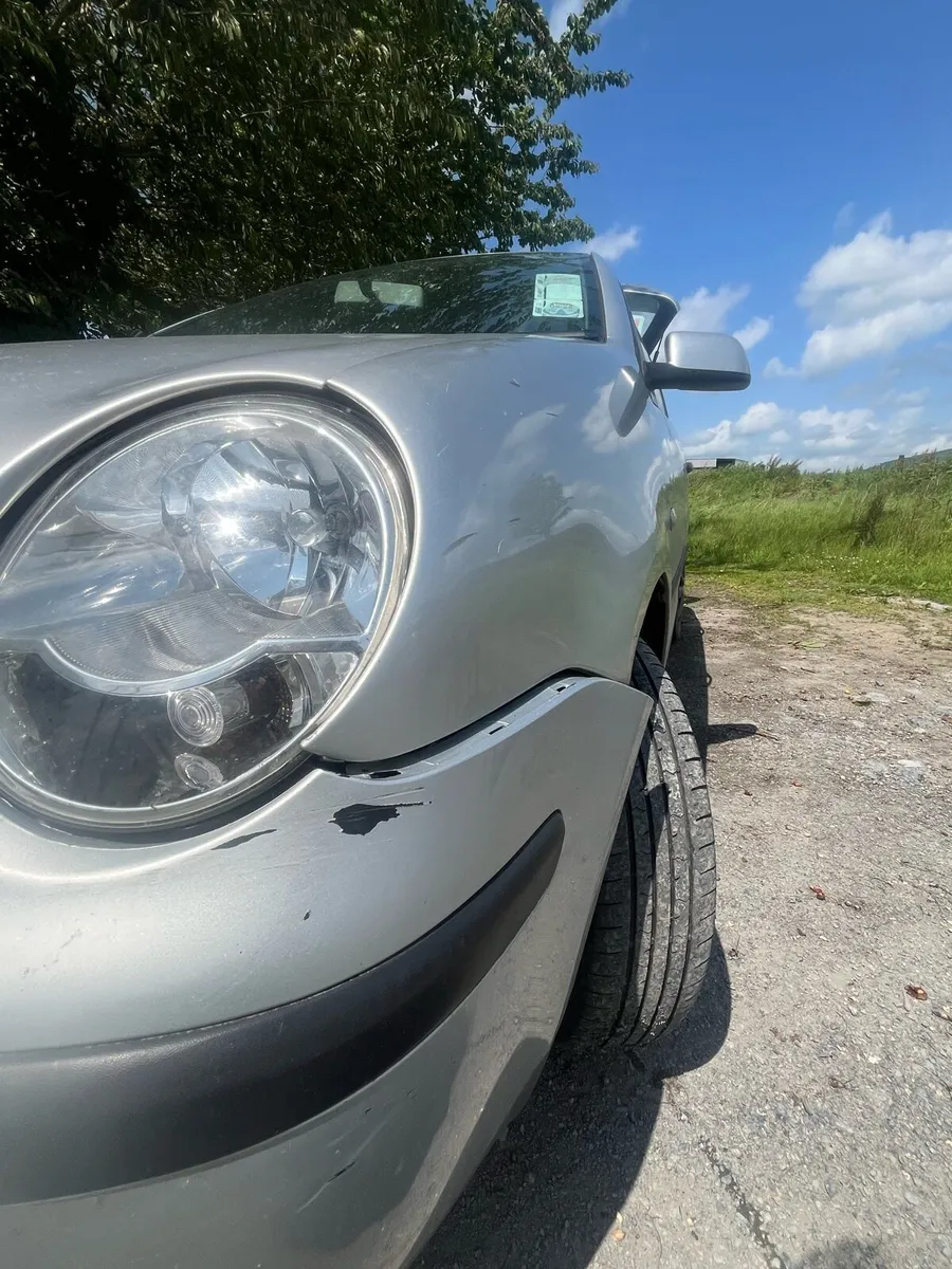 05 polo - Image 4