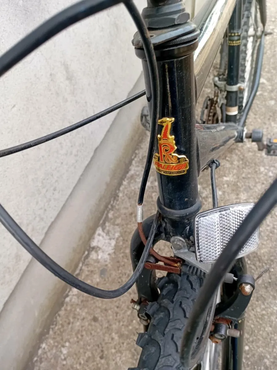 Bike frame - Image 1