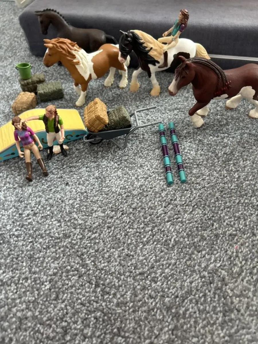 schleich horse Stable & riding Centre - Image 3