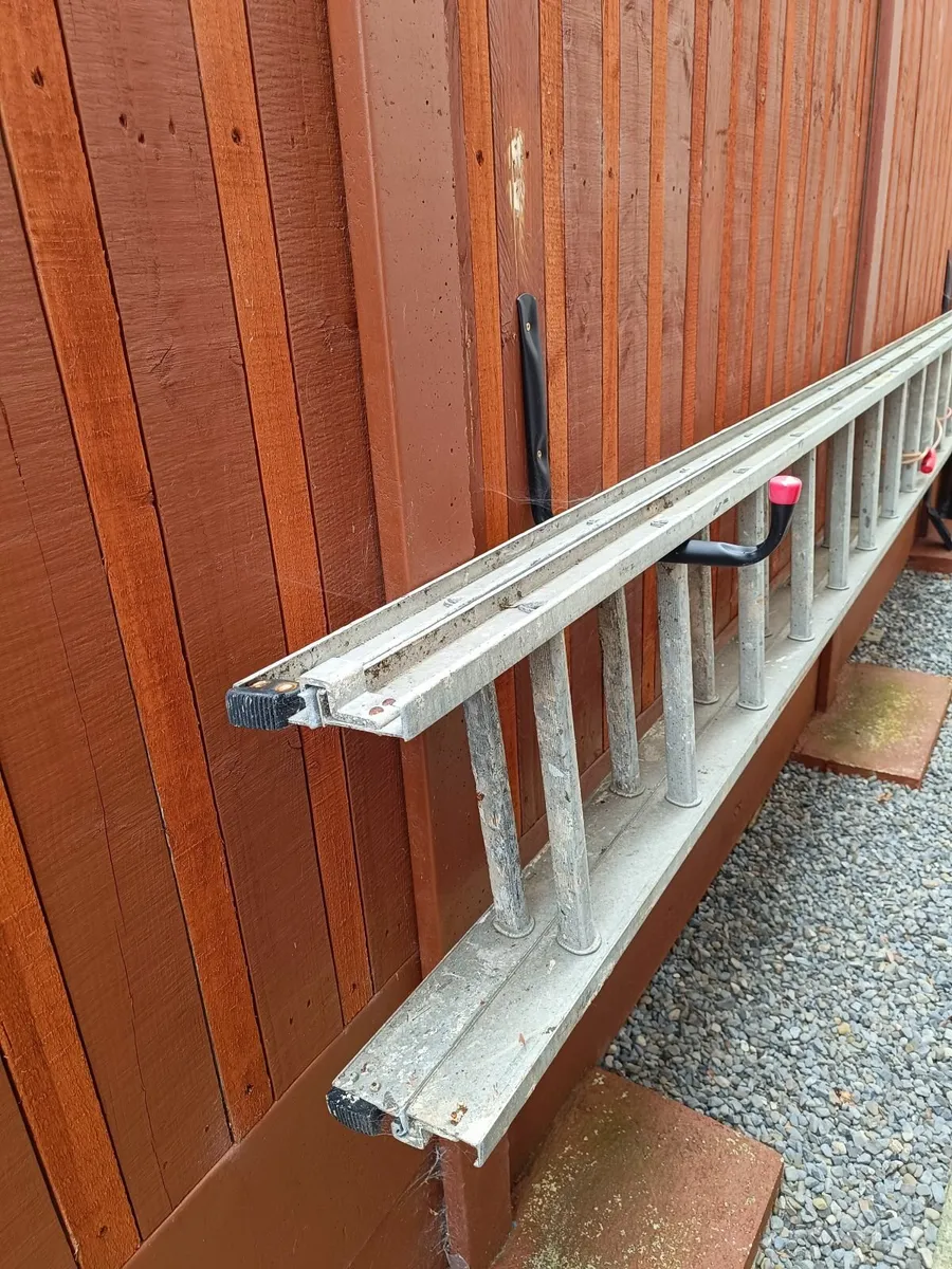 Ladder - Image 2