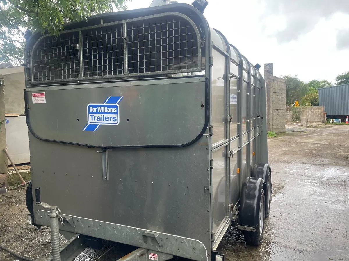 Ifor Williams 10x 6 cattle trailer - Image 1