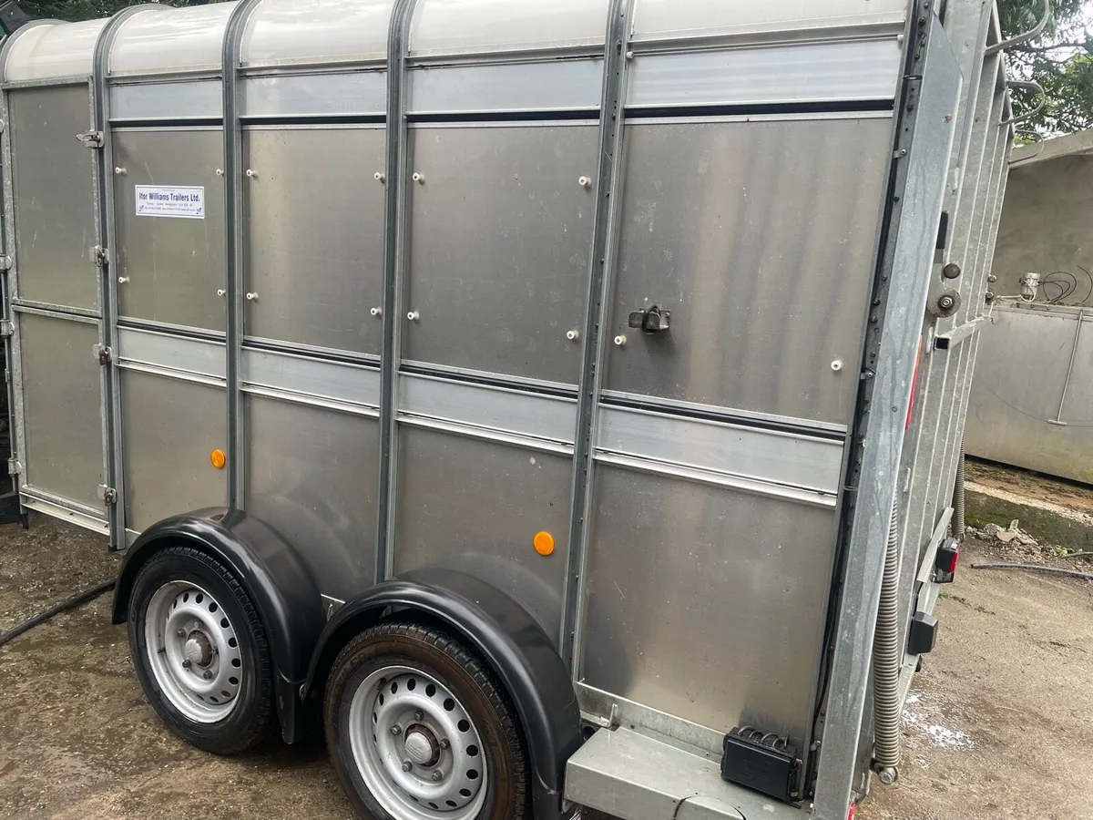 Ifor Williams 10x 6 cattle trailer - Image 3